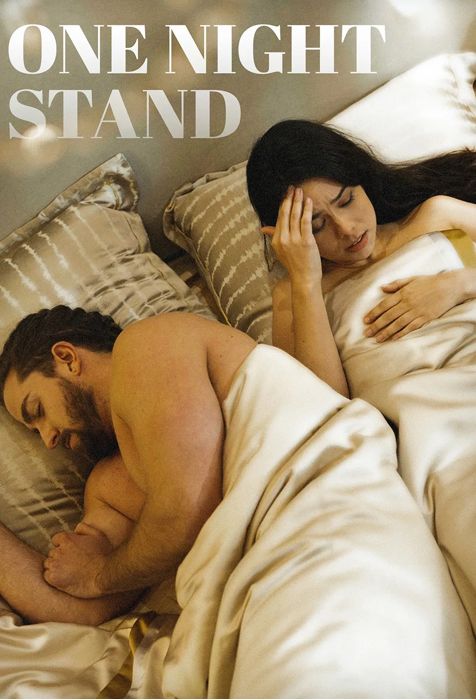 Poster One Night Stand