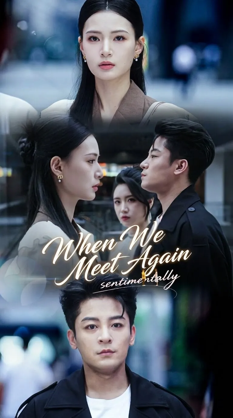 （Dubbed）When We Meet Again